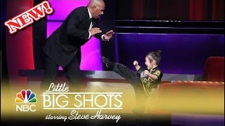 Little Big Shots  FiveYearOld Kung Fu Kiddo Episode Highlight [upl. by Porta]