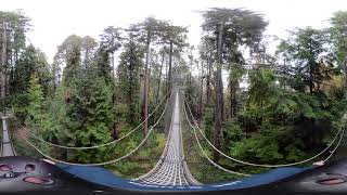 Greenheart TreeWalk Rainforest Experience at UBC Botanical Garden 360°  3D on compatible devices [upl. by Lrig]