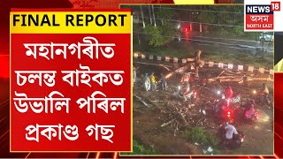 Final Report  Guwahati Storm  চলন্ত বাইকত উভালি পৰিল প্ৰকাণ্ড গছ [upl. by Liartnod507]