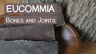 Eucommia Bark A Tonic Herb for the Bones and Joints [upl. by Anitap]