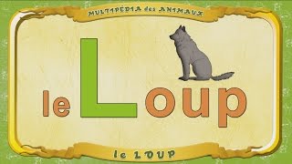 Multipédia des animaux La lettre L  le Loup [upl. by Laws]