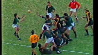 Four 1986 Springbok Tries [upl. by Eatnoled951]