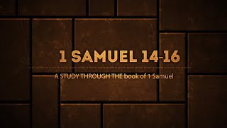 The Book of I Samuel 1416 [upl. by Acinoryt]