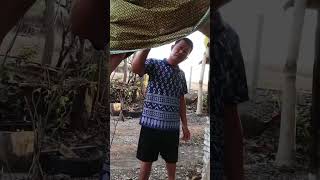 ช่วยข่อยลงก่อน funny funnyvideo comedy shorts [upl. by Mitran]