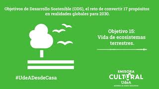 Objetivo de Desarrollo Sostenible 15 Vida de ecosistemas terrestres [upl. by Giacamo557]