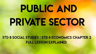 public and private sectors economics class 8 chapter 2   Social studies Samacheer [upl. by Kimmi]