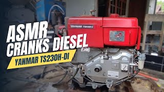 ASMR Cranks Diesel Engine Yanmar T230HDI RestorationASMR Sounds Machine [upl. by Lea]