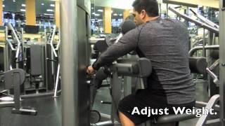 How To Use The Lateral Raise Machine  Exercise Video [upl. by Yrogiarc]