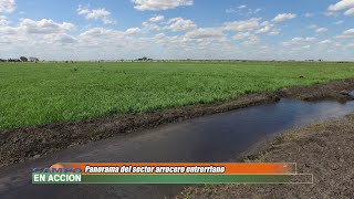 Panorama Agrícola en San Salvador  Enrique Funes [upl. by Yanrahc]