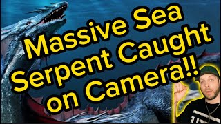 Massive Sea Serpent Caught on Camera foryou fyp newsfeed watch nightgod333 [upl. by Enelad]