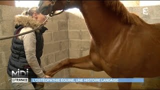 Losthéopathie équine une histoire landaise [upl. by Eirelam850]