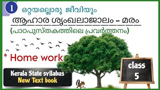 Class5  New Basic science Chapter 1  Homework ആഹാര ശൃംഖലാജാലം  മരം [upl. by Naeroled297]