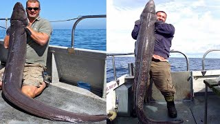 Amazing Giant Eel Fishing Skill on the Sea  Fastest Catching amp Processing Eel Fish [upl. by Subak]