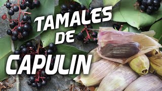 Haciendo tamales de capulín chagalopoli Ardisia compressa [upl. by Alyakcim80]