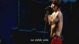 Dont Forget Me  Red Hot Chili Peppers sub al español [upl. by Assetniuq]