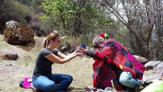 WACHUMA SAN PEDRO RITUAL CUSCO wachumacusco ayahuascaretreatperu [upl. by Mateo485]