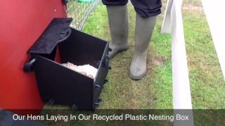 Recycled Plastic Chicken House Nesting Box Demonstration [upl. by Zaria537]