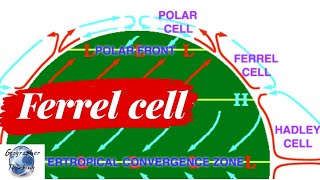 What is Ferrel cell [upl. by Airalednac295]