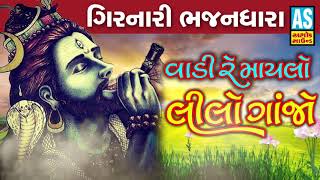 Vadi Re Maylo Lilo Ganjo  Mahadev Bhajan  Gujarati New Song 2019  Ashok Sound Bhajan [upl. by Mersey]