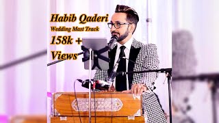 Habib Qaderi Live Wedding Songs MAIDA MAIDA  DUNYA GOZARAN  MAZA DARA Afghan Mast Dance Track [upl. by Delfeena549]