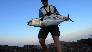 10 kg False Albacore Euthynnus alletteratus Light shore jigging  26052018 [upl. by Allenod]