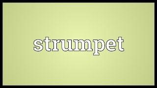 Strumpet Meaning [upl. by Funk684]