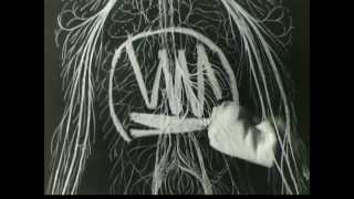 Vintage Old 1950s Triactin Anti Acid Commercial [upl. by Vasiliu837]