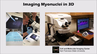 Confocal Microscopy Explained [upl. by Ardnuhsor]