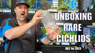 Unboxing Rare Tanganika Cichlids amp More [upl. by Jary402]