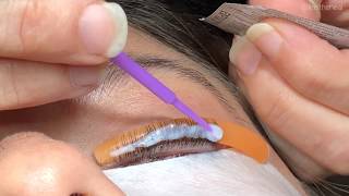 Elleebana Lash Lift amp Tint Tutorial Video [upl. by Ketti]