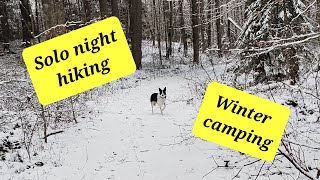 Solo night hiking and winter camping in the Adirondacks with my border collie [upl. by Ynna]