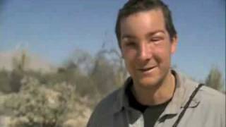 Bear Grylls Allergic to Bees [upl. by Ninazan192]