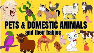 Domestic Animals And Their Young Ones  Domestic Animals Sounds  Pets And Their Young Ones [upl. by Aitak]