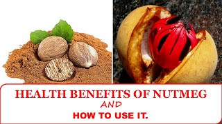 MANY HEALTH BENEFITS OF NUTMEG AND HOW TO USE IT MYRISTICA FRAGRANS  JATHIKAI TAMIL NAME [upl. by Yrad829]