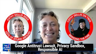 Go Cathy Go  Google Antitrust Lawsuit Privacy Sandbox Responsible AI [upl. by Garret]