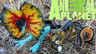 Opening Dilophosaurus Set by ANIMAL PLANET [upl. by Mariande]