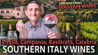 Red Wines of Southern Italy Sicily amp Sardinia  Explained [upl. by Inatirb]