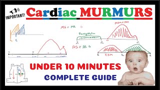 CARDIAC MURMUR  Systolic Diastolic amp Continuous murmur  Focused on NEXT amp NEETPG [upl. by Garceau]