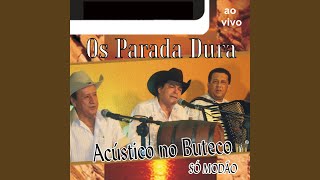 Barquinha de Ouro Ao Vivo [upl. by Pliske]