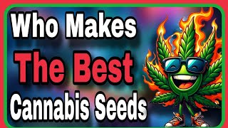 Quest For The Best Cannabis Strain Fanatic Solfire Gardens [upl. by Dorita]