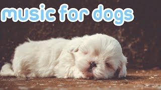 15 HOURS of Deep Sleep Relaxing Dog Music NEW Helped 10 Million Dogs [upl. by Oren527]