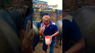 बीडी देवो तब बताऐं comedy😆😁jbdmk funny sorts viralvideo comedyshorts manimerajfun royalshorts [upl. by Hanahsuar591]