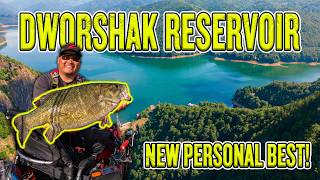 Dworshak Reservoir Has GIANT Smallmouth and They Eat quotBigquot Swimbaits [upl. by Navoj]