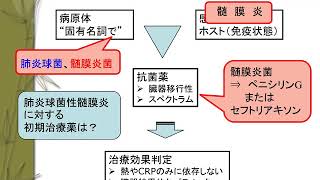 抗菌薬の初歩⑥髄膜炎 [upl. by Gebelein]