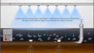 Microbial Leaching [upl. by Osmond]