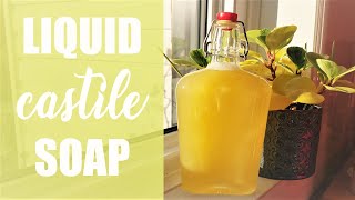 Liquid CASTILE Soap  100 OLIVE OIL  Cold Process [upl. by Eittak]