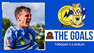 The Goals Torquay United 11 Aveley [upl. by Ertsevlis912]