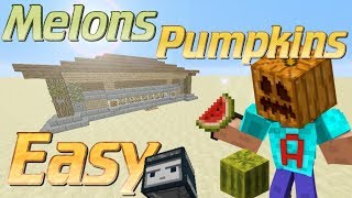 How to Make a Melon Farm with Observer Blocks in Minecraft  Minecraft Automatic Pumpkin Farm [upl. by Dreeda]