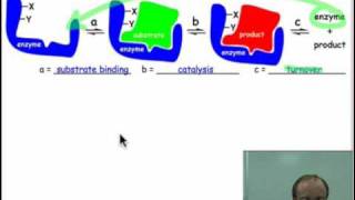 Strategies of enzyme catalysis [upl. by Balcke]