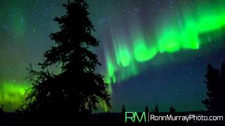 Aurora Breakup  Northern Lights of Alaska [upl. by Grimonia769]